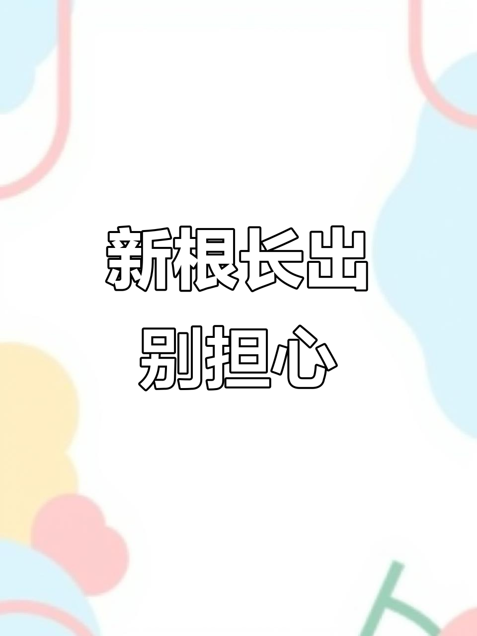 多肉植物根部发霉?其实是新根在生长!