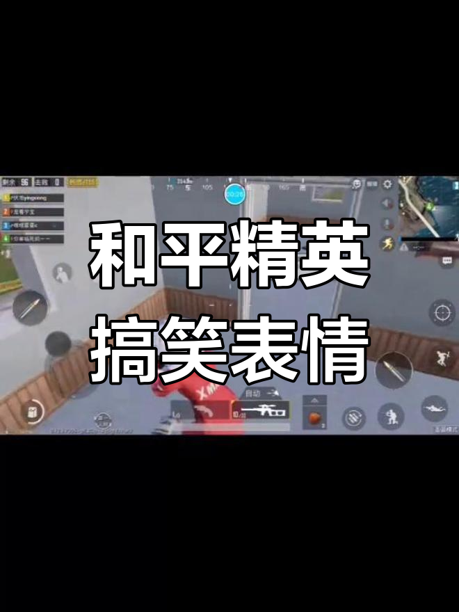 爸妈不在家,和平精英表情包大作战