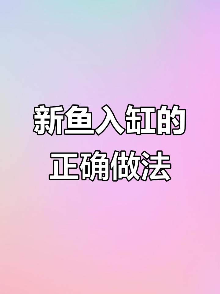 新鱼到家如何正确处理?过温、过水步骤全解析