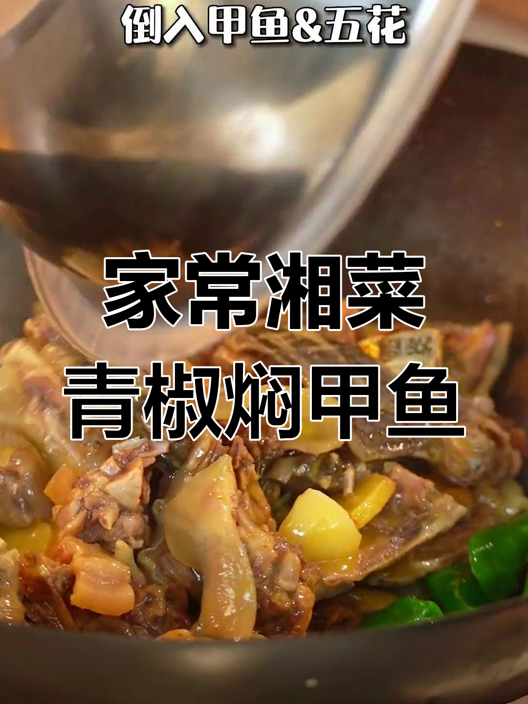 学会这道青椒焖甲鱼,家人都夸你是大厨!