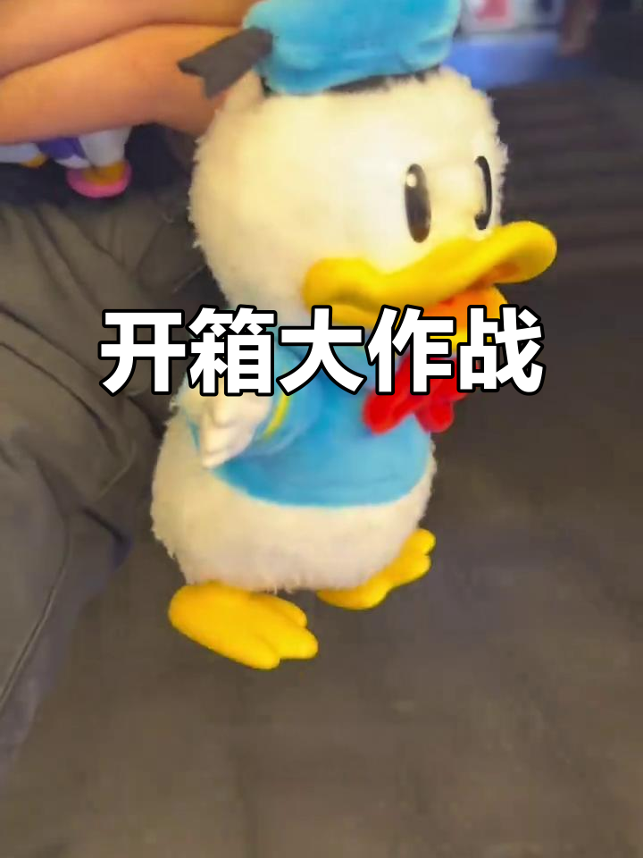 许愿开箱:唐老鸭黛西与狗狗们的奇妙冒险