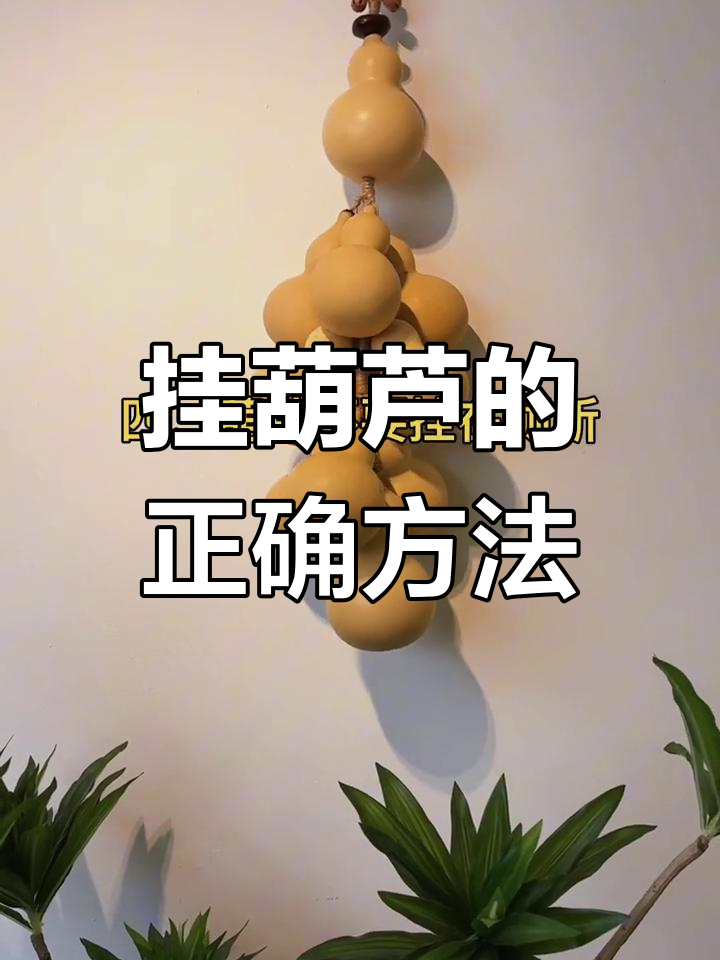 挂葫芦的禁忌与最佳位置,避开这些误区财运滚滚来