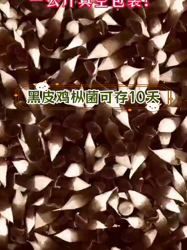新鲜黑皮鸡枞菌真空包装,10天保质期