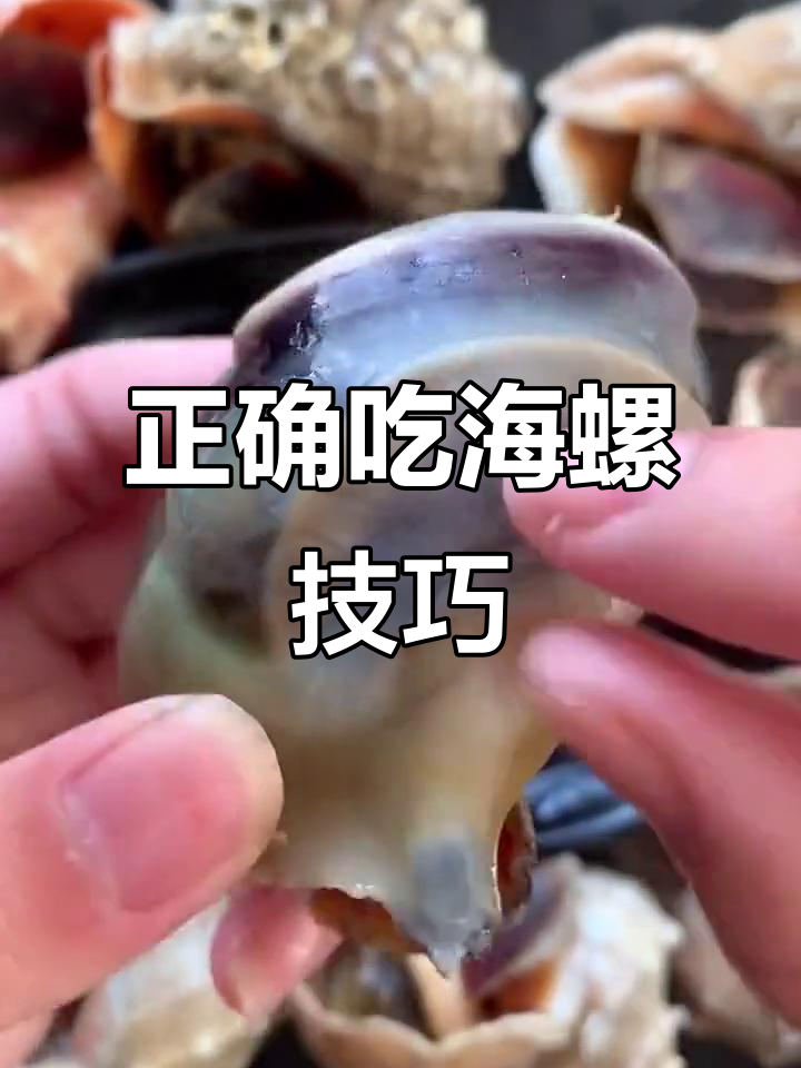 吃海螺的正确方法,避免误食苦胆和肺
