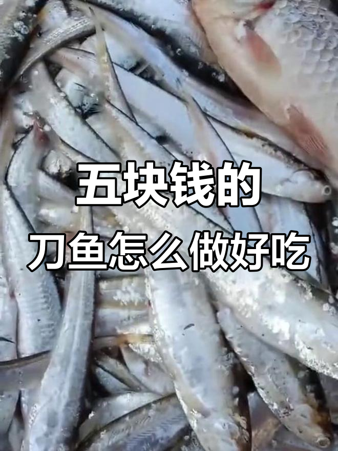 长江刀鱼五元一斤,清蒸油炸哪种更好吃?