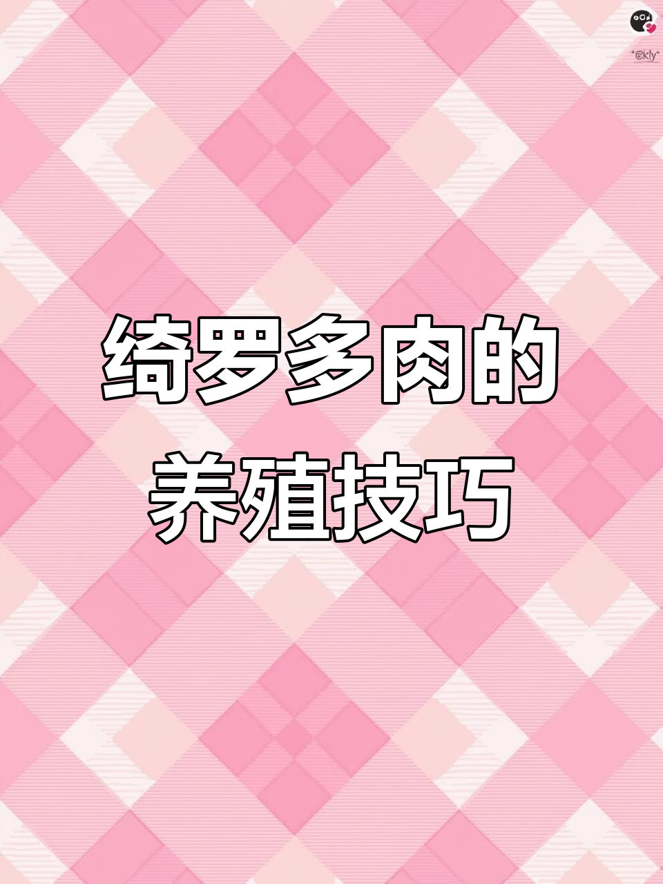 绮罗多肉养护心得,轻松出状态,分享给更多人