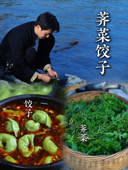 冬日挖荠菜配野葱包饺子，鲜香四溢~