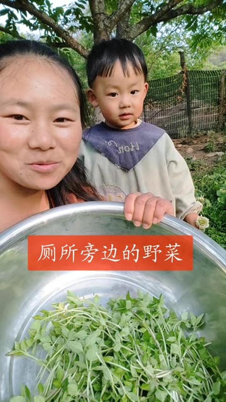 屏幕前的伙伴们,有多少人吃过,我们地方叫鱼香菜,你们怎么叫?