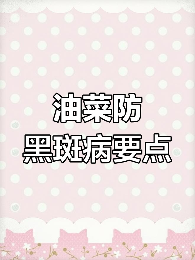 油菜种植中的黑斑病防治技巧,农民必看