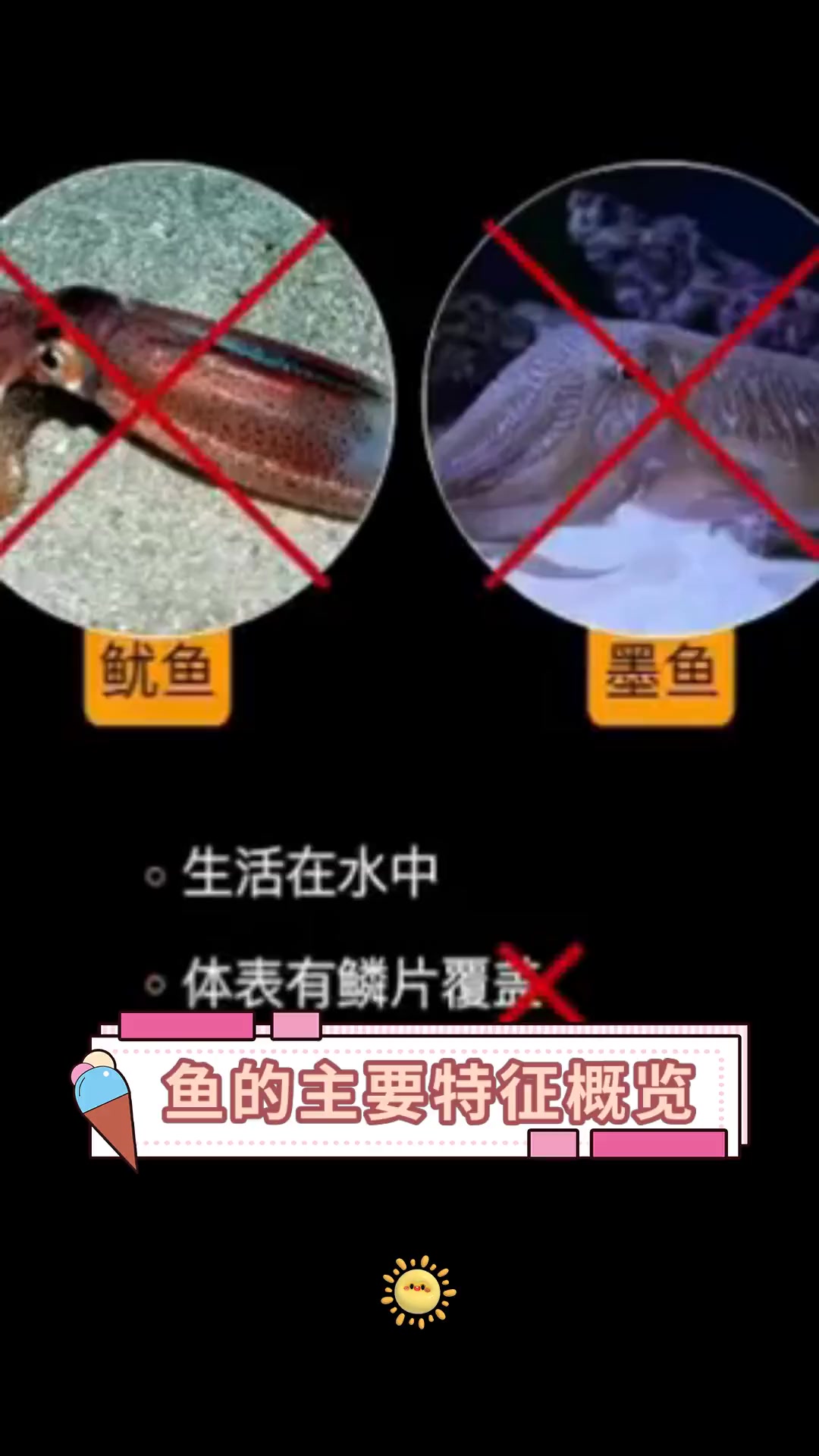 鱼的主要特征概览