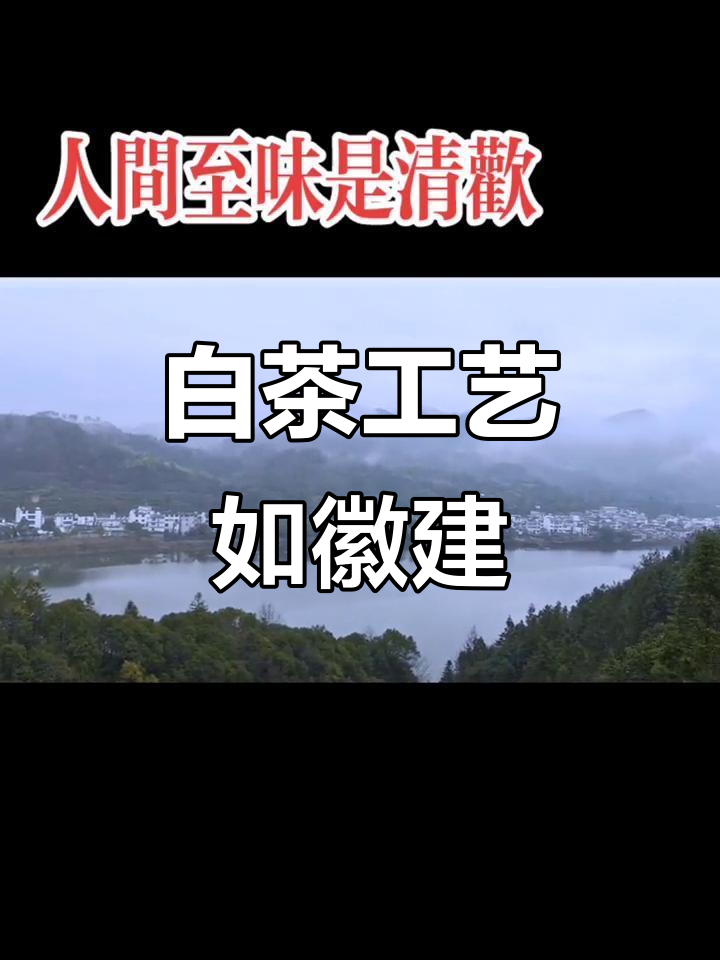 徽派建筑与白茶的简约之美,淡雅风格尽显