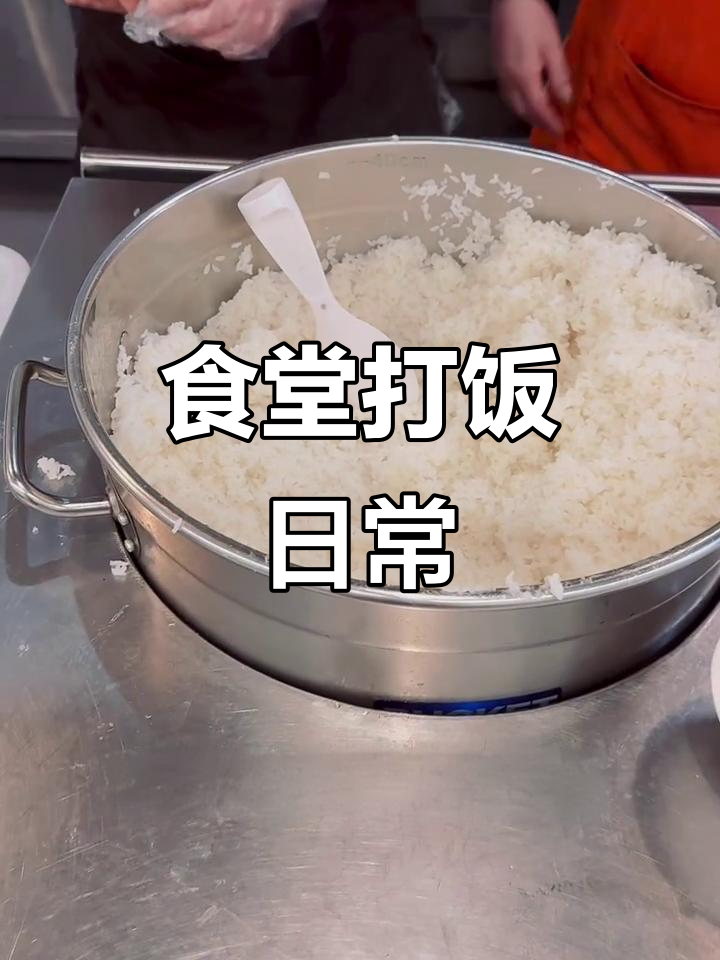食堂今日菜单,打饭过程大揭秘!
