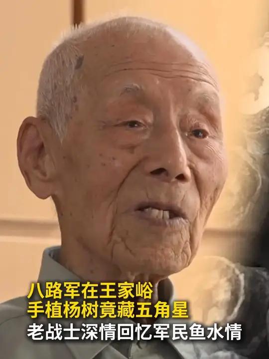 八路军在山西王家峪手植杨树竟藏五角星?98岁老战士深情回忆军民鱼水情(作者:邓浩然、徐伟、
