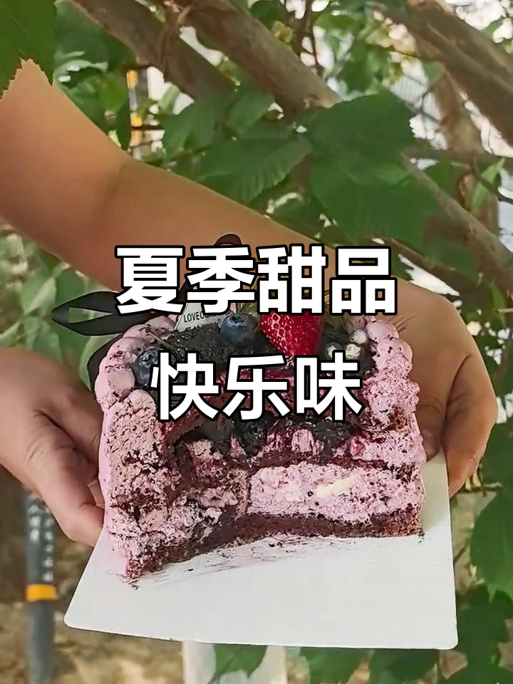 夏日浪漫小蛋糕,阳光与甜蜜的完美碰撞