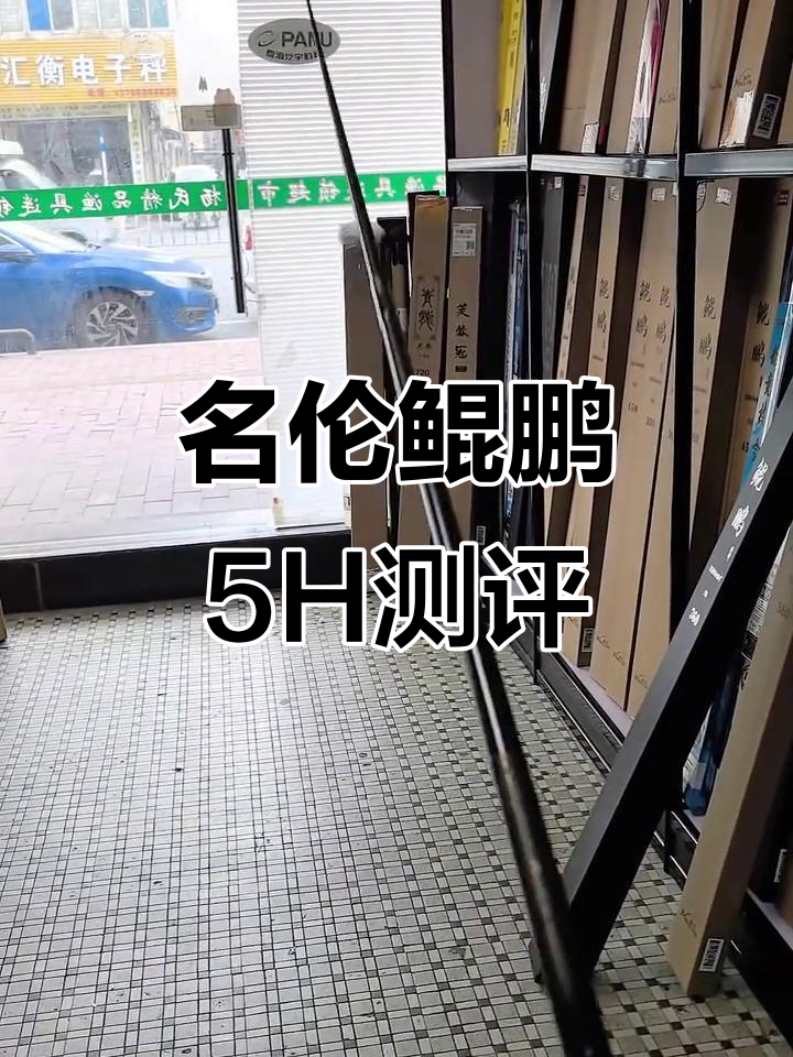 名伦鲲鹏5H鱼竿评测:休闲坑钓必备,超强性能展示