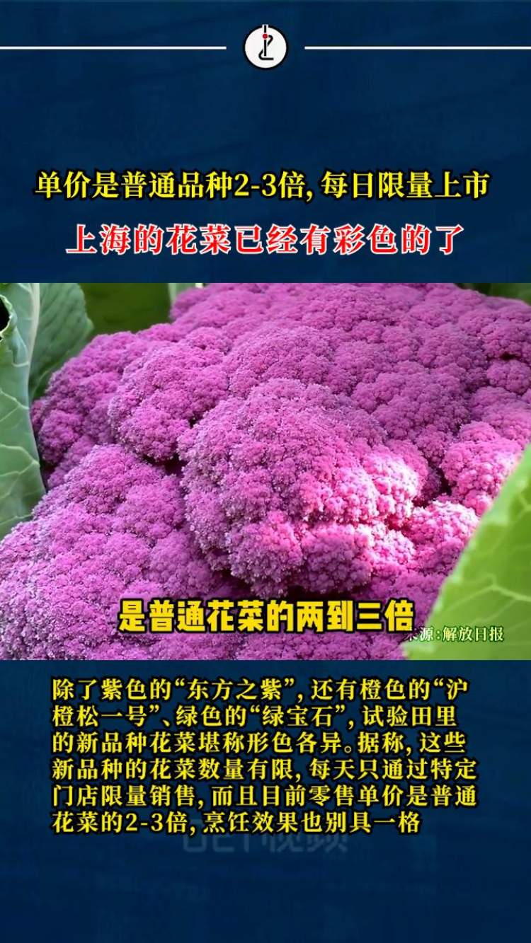 单价是普通品种2-3倍,每日限量上市,上海的花菜已经有彩色的了