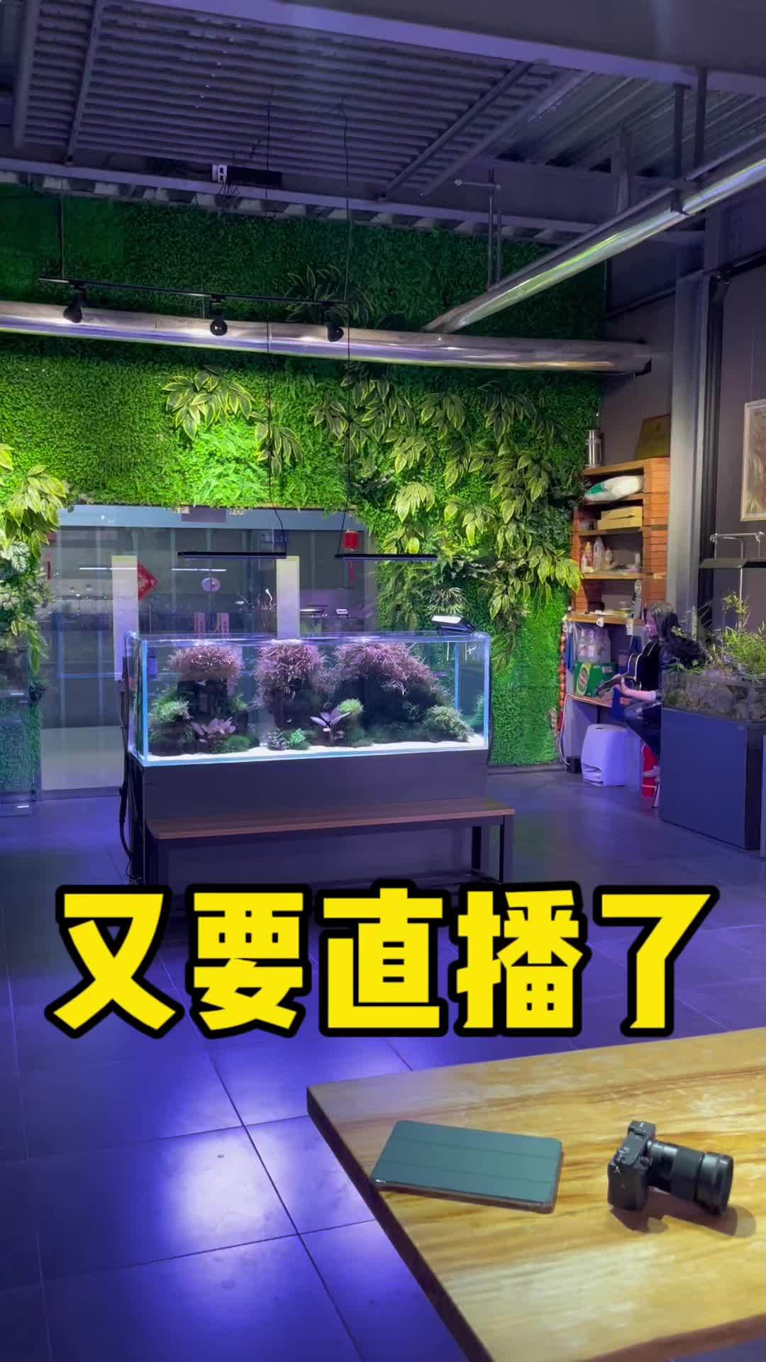 别忘了今天周四啊,晚上不见不散啊 水草缸 水族 鱼缸里的大自然 造景 新手养鱼