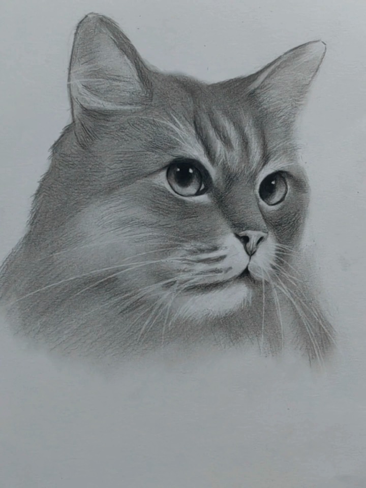 一笔画猫咪