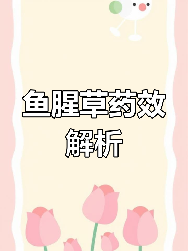 鱼腥草的独特功效与应用