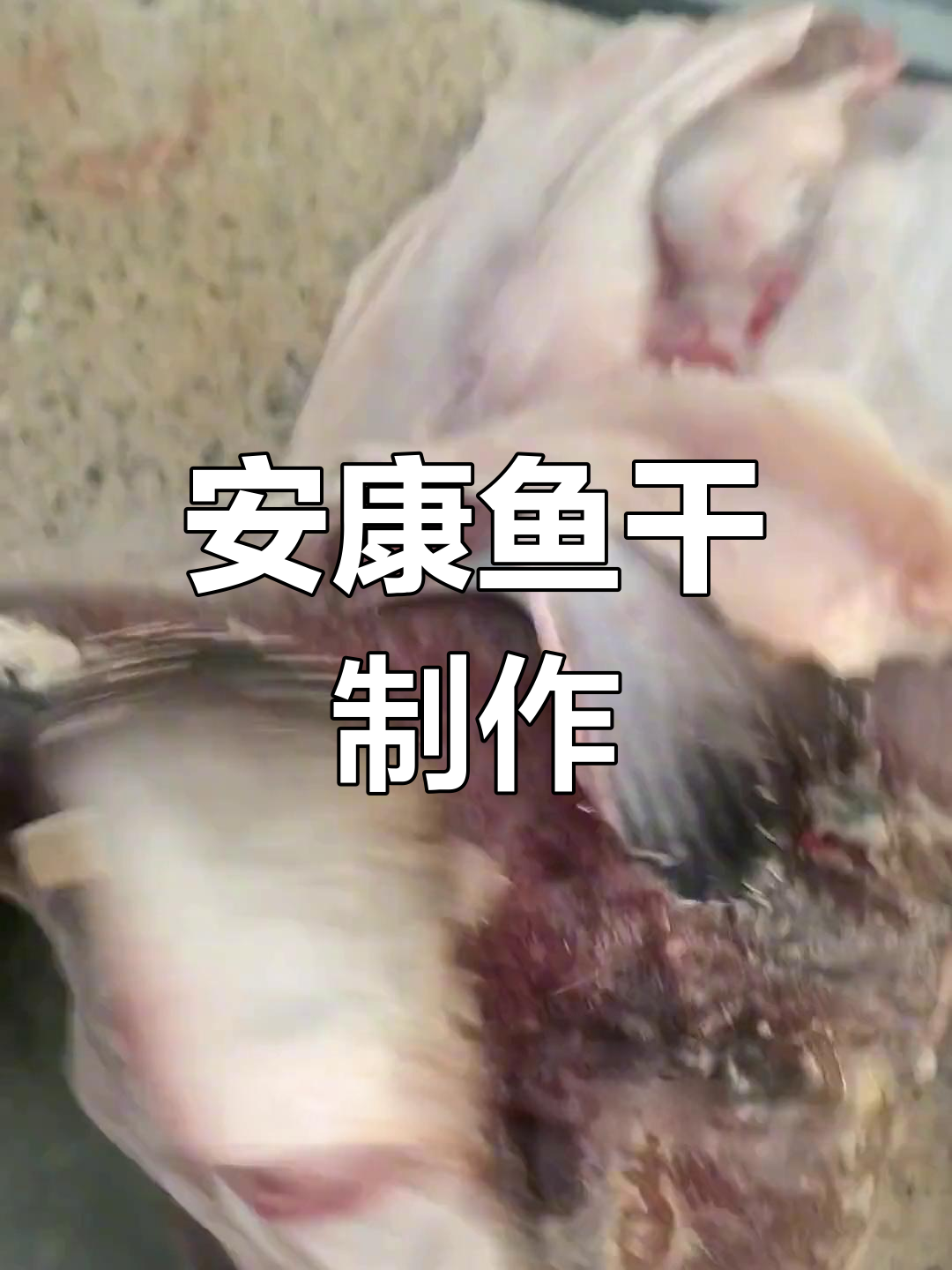天然安康鱼干,晒制美味