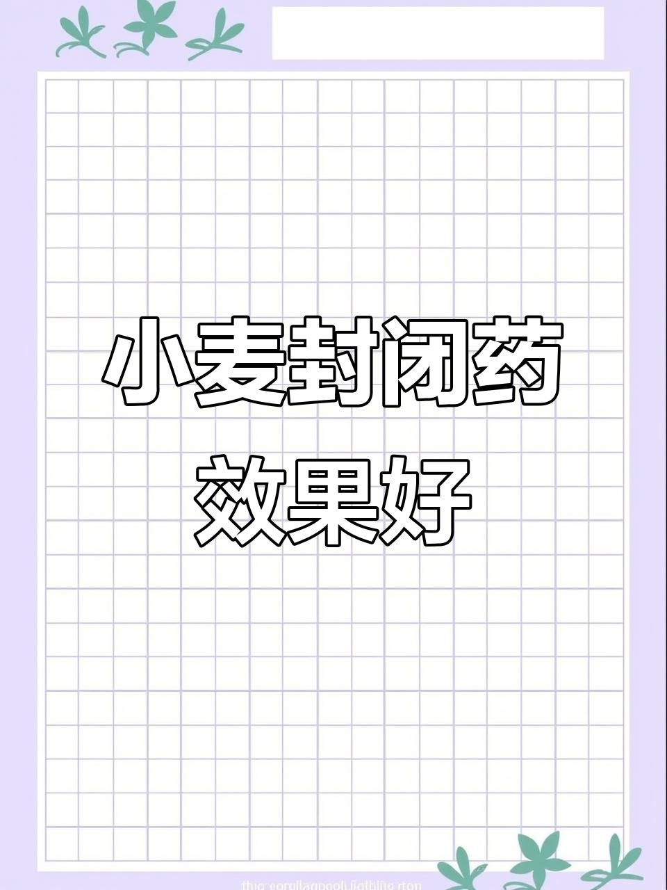 金戈天马除草剂效果显著,小麦田里一颗草都没有