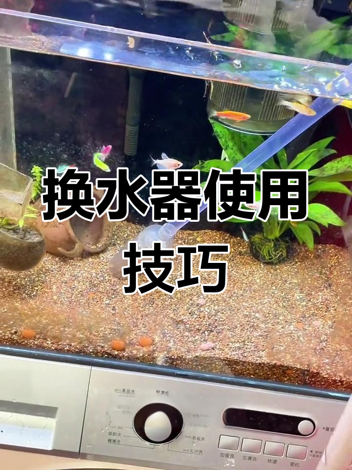 鱼缸换水器使用全攻略,轻松搞定清洁