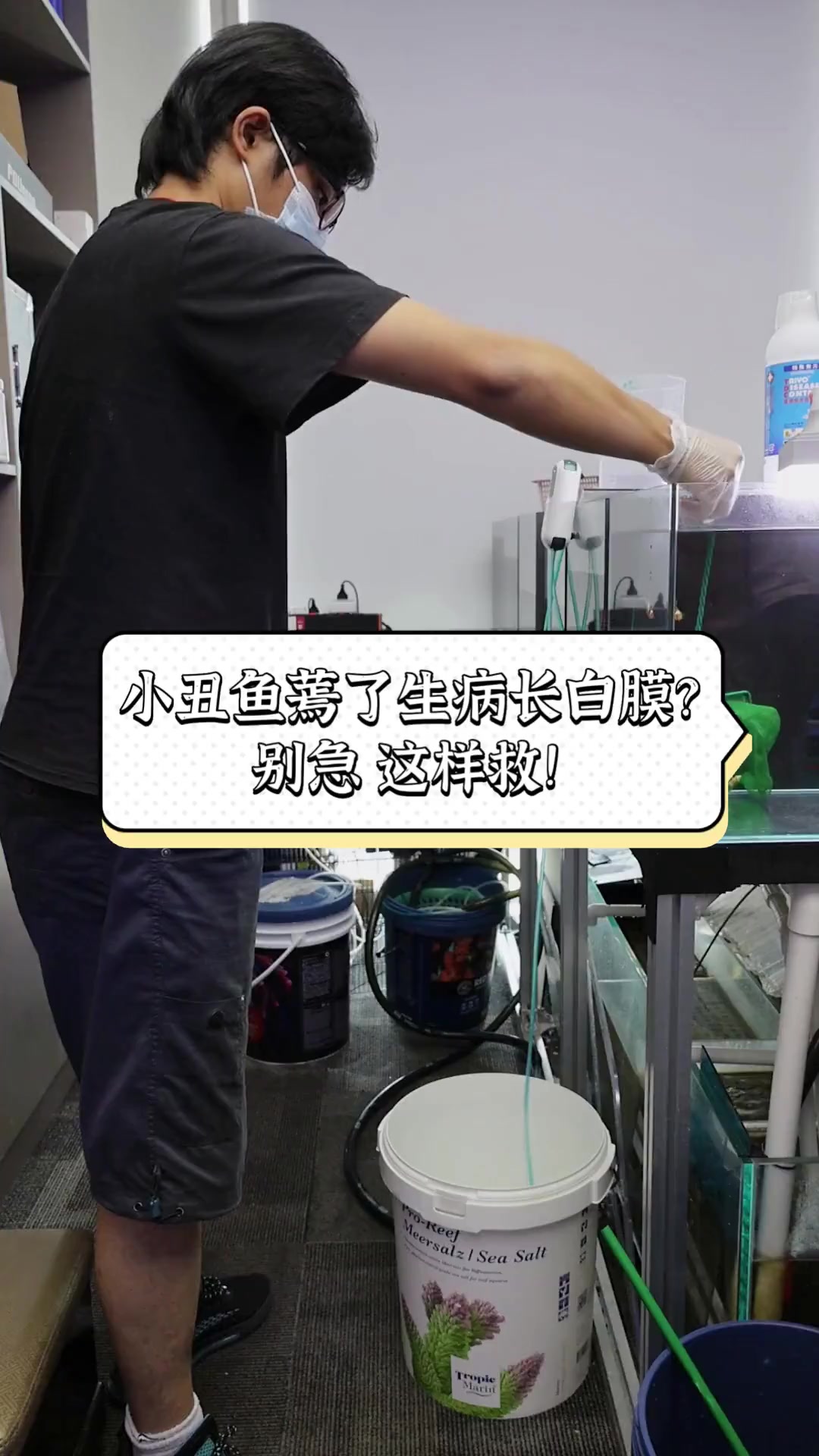 小丑鱼蔫了生病长白膜?别急,这样救!