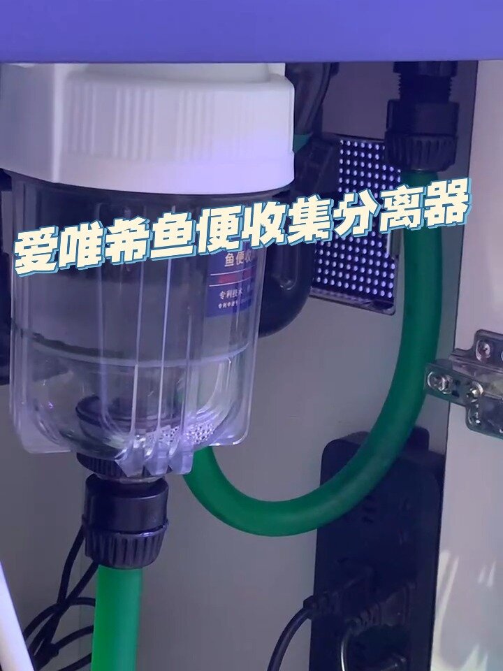 小姐姐给我讲鱼便收集分离器