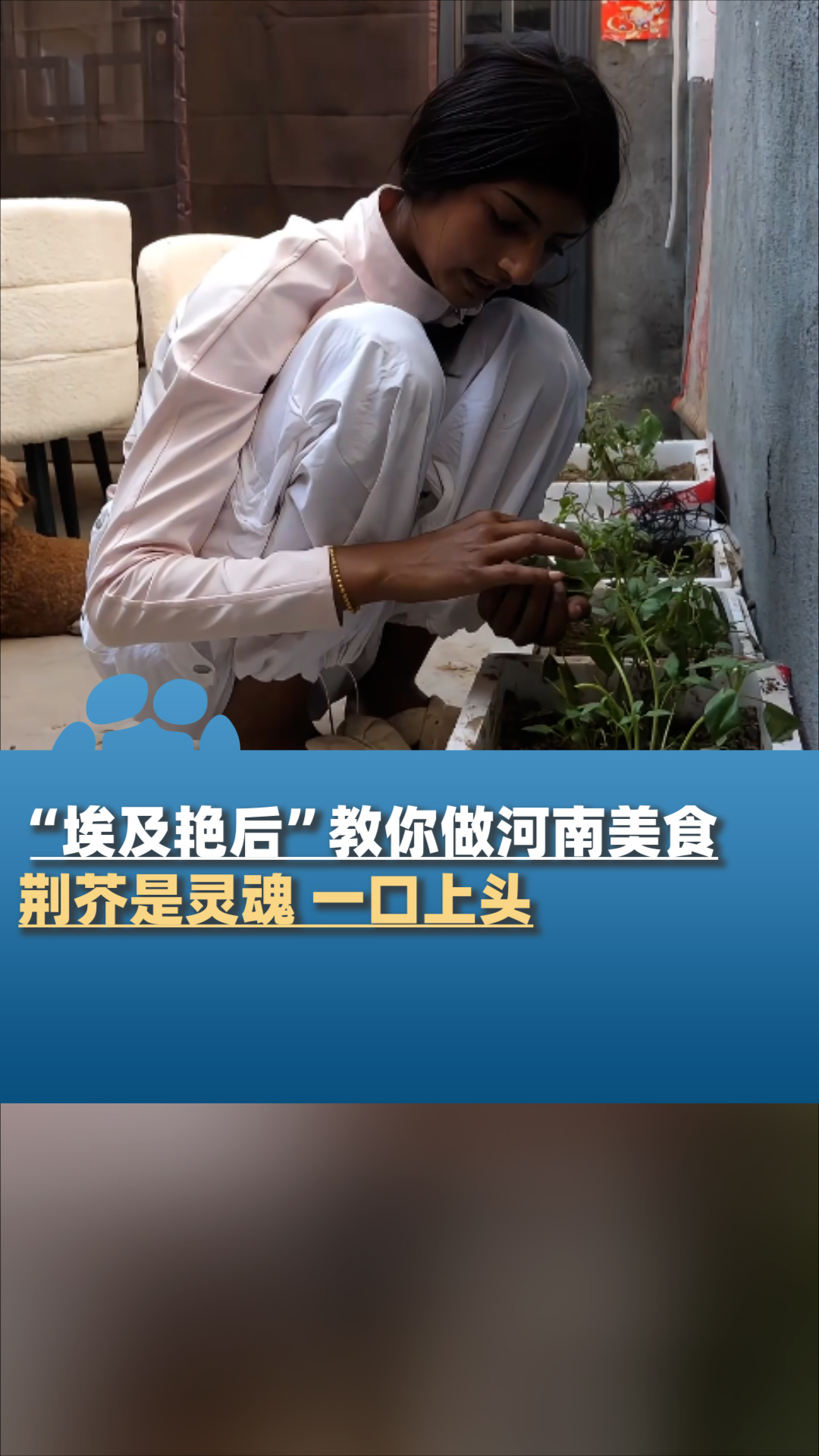 “埃及艳后”教你做河南美食,荆芥是灵魂,一口上头