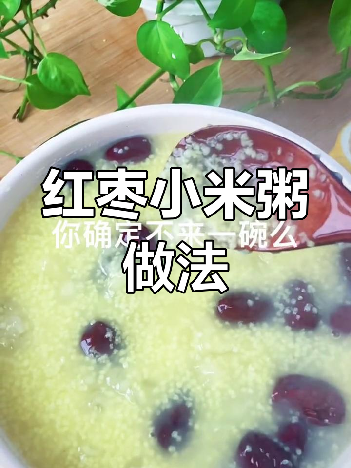 软糯香甜的红枣小米粥,轻松学做养生美味