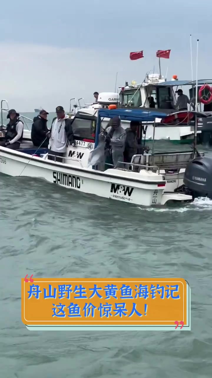 舟山野生大黄鱼海钓记,这鱼价惊呆人!