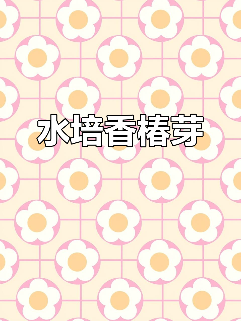 香椿芽苗菜种植技巧,轻松学会健康养生