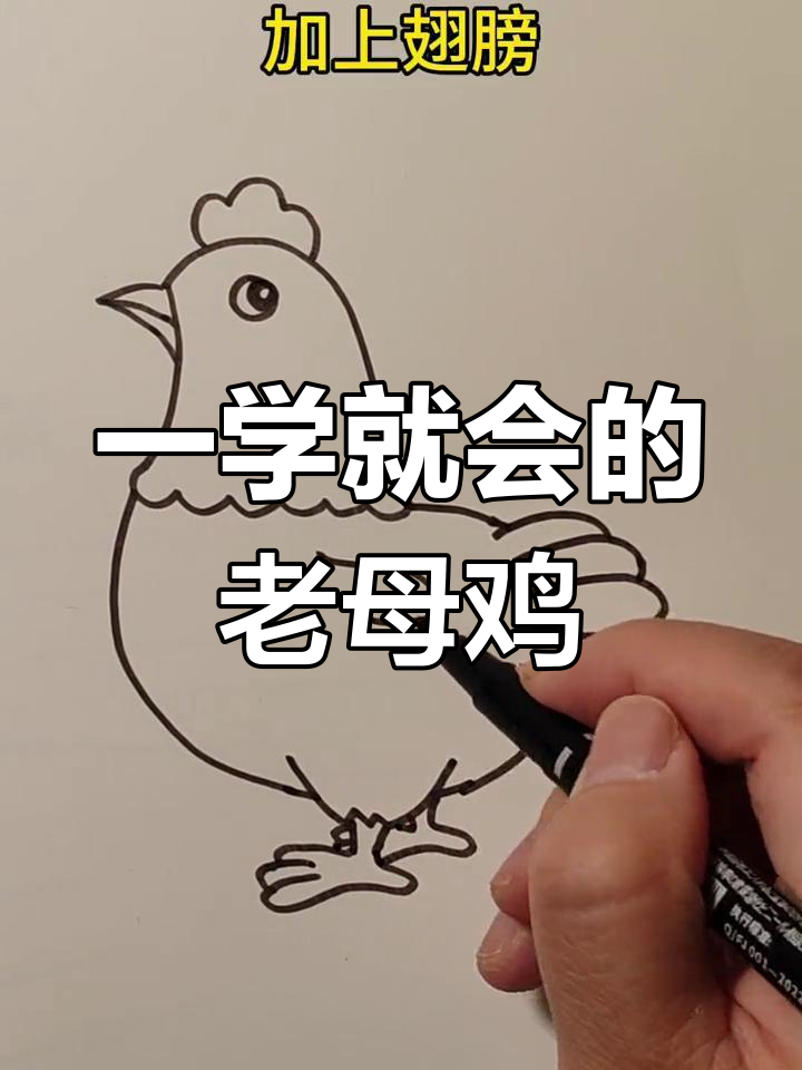 轻松学会画老母鸡