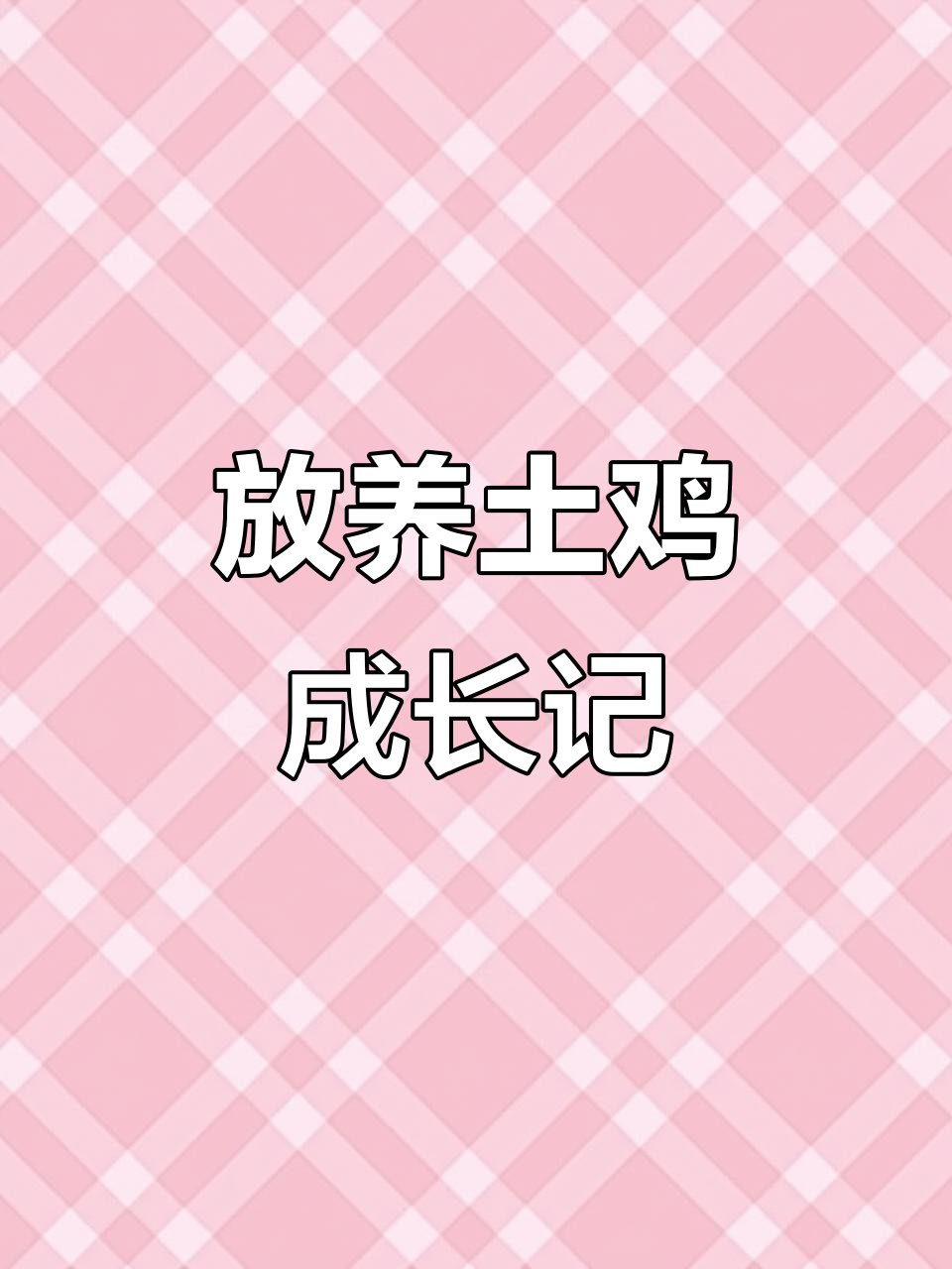 翻山放养土鸡,看看它们如何适应自然环境