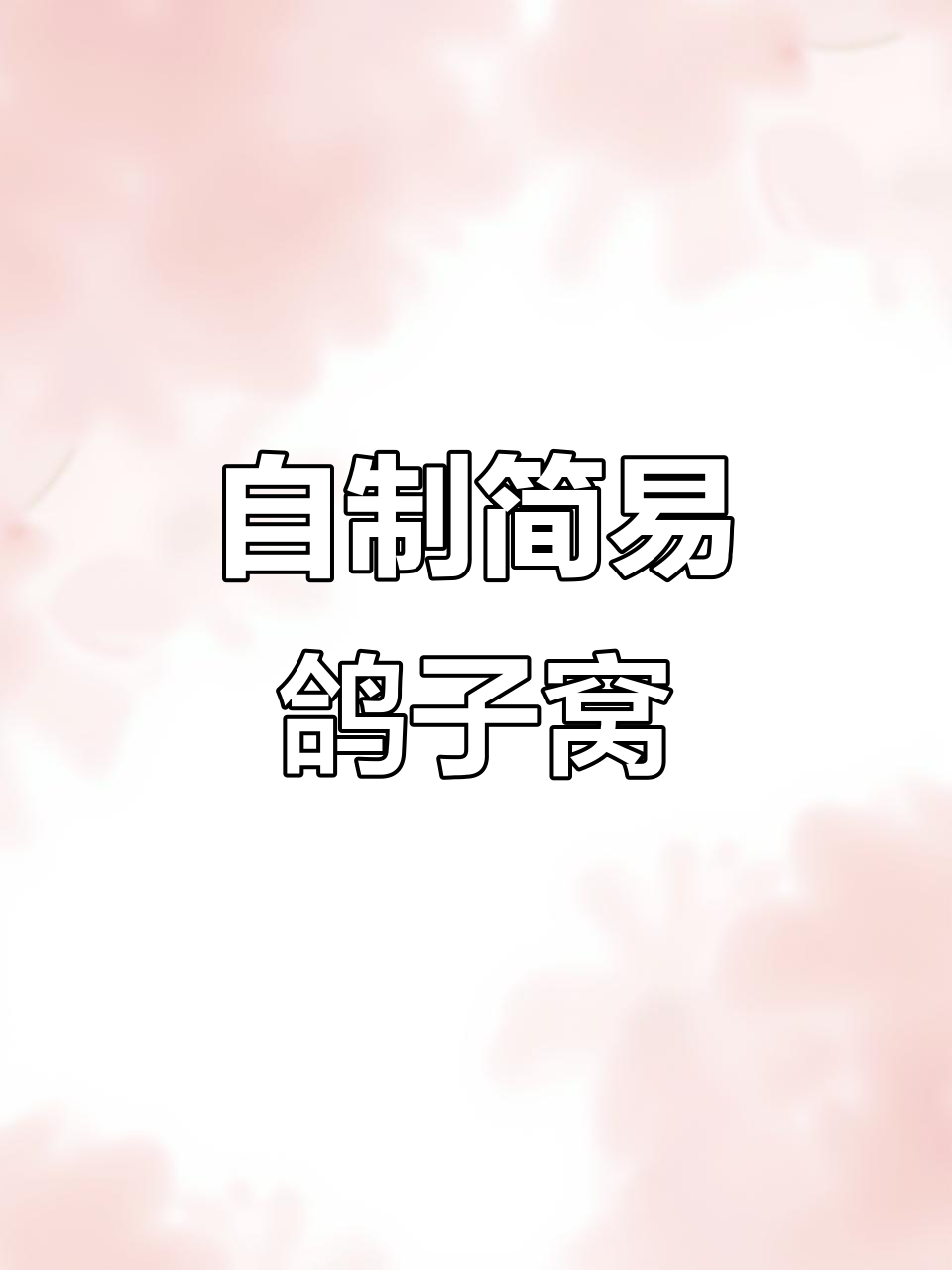 利用废水果筐打造鸽子窝,简单又实用
