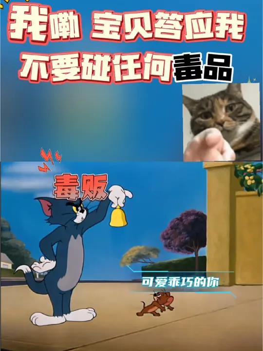 见到黑猫警长了 禁毒 汤姆猫 暴揍汤姆猫,答应我,不要碰任何毒品