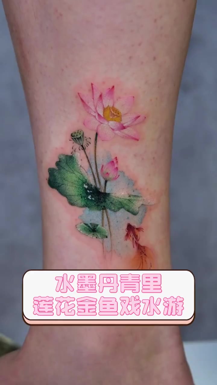 水墨丹青里,莲花金鱼戏水游