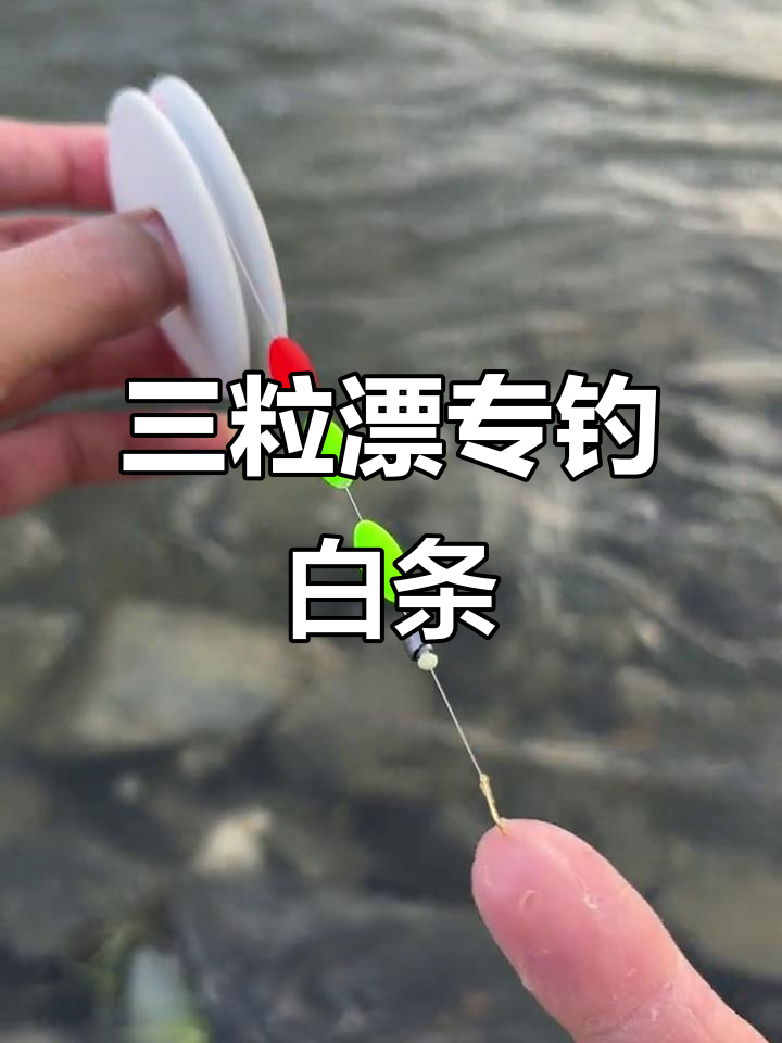 溪流钓必备!三粒漂线组轻松捕捉白条马口石斑鲫鱼