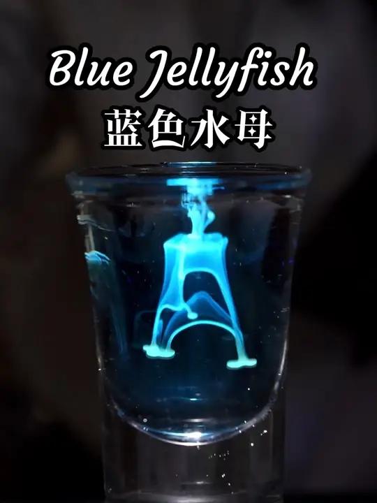 蓝色是孤独的,蓝色也是温柔的,酒中的水母即使昙花一下,也尽是短暂的美好。鸡尾酒 夏日饮品 