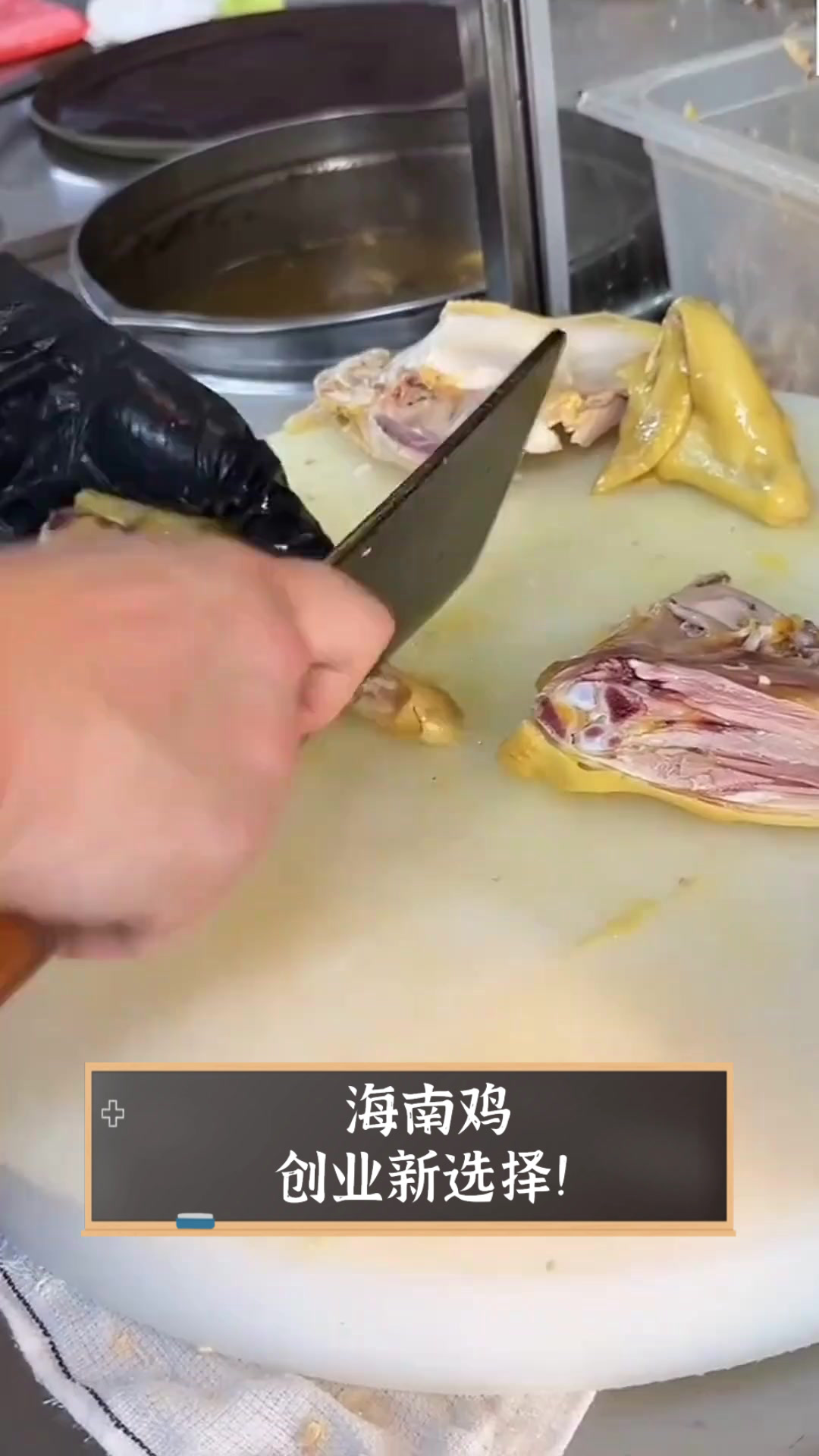 海南鸡,创业新选择!