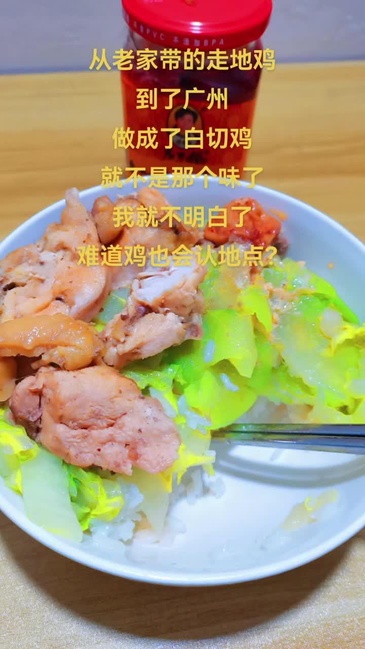 从老家带来的走地鸡,到了广州,做成了白切鸡,就不是那个味了,我就不明白了,难道鸡也会认地点