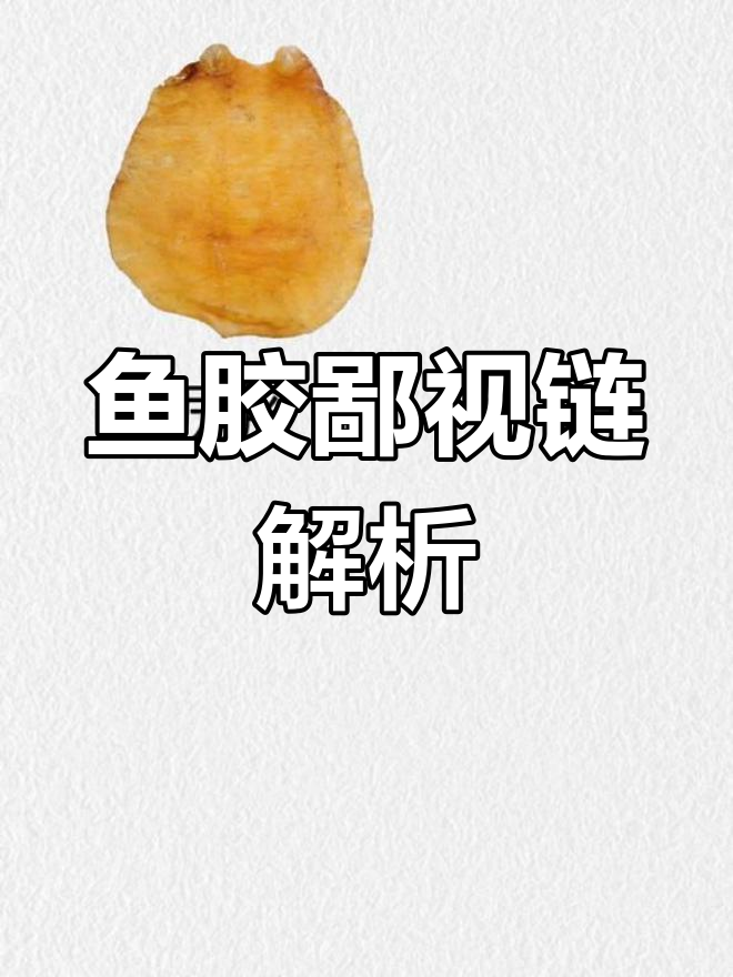 鱼胶界的等级差异,了解更多知识