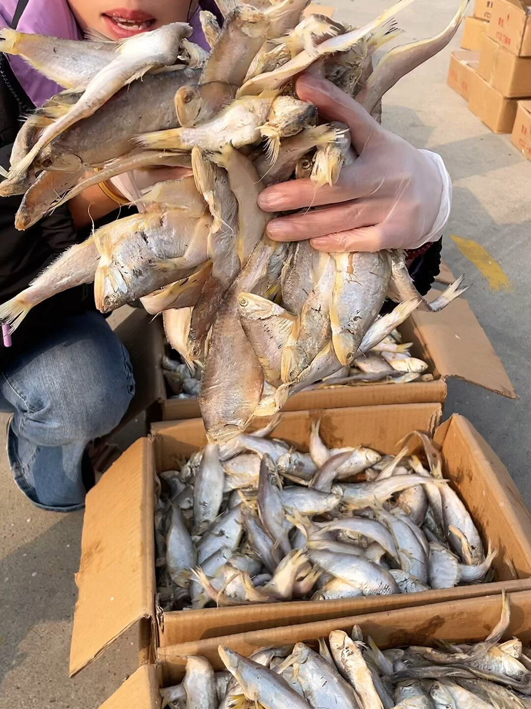 马口鱼又名油扣鱼,煎炸蒸都好吃的一款咸鱼
