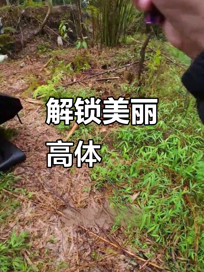 从化小村庄钓获超美彩虹高体鳑鲏,马口与螃皮齐飞