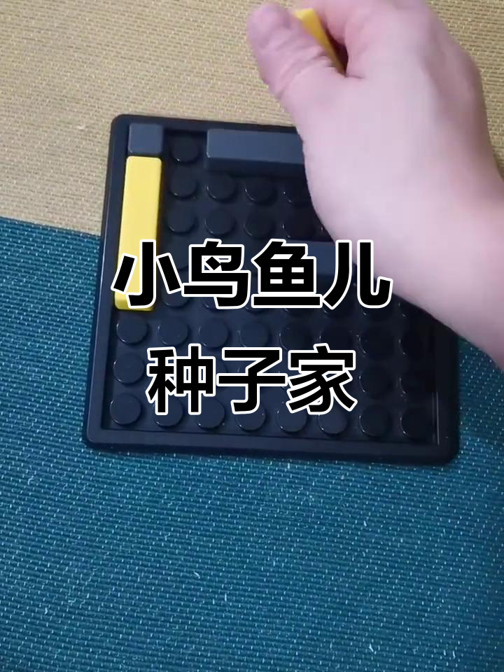 树林、小河与泥土，我们都是祖国的花朵