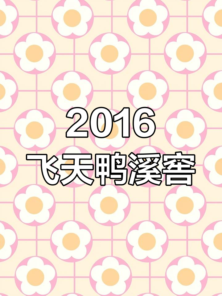 贵州飞天仙女鸭溪窖酒,2016年老八大名酒的经典之作