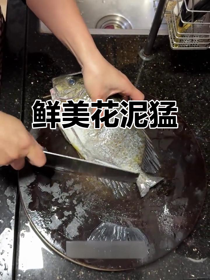 花泥猛鱼新鲜上岸,简单烹饪保留原汁原味,健康又美味!