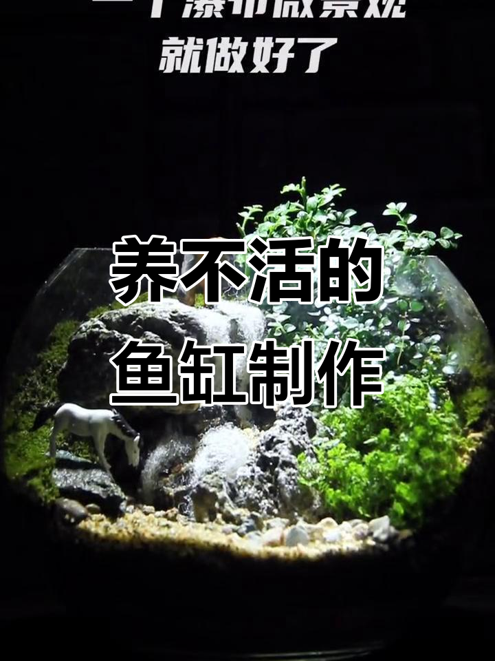 打造瀑布微景观,轻松养不活鱼的鱼缸设计