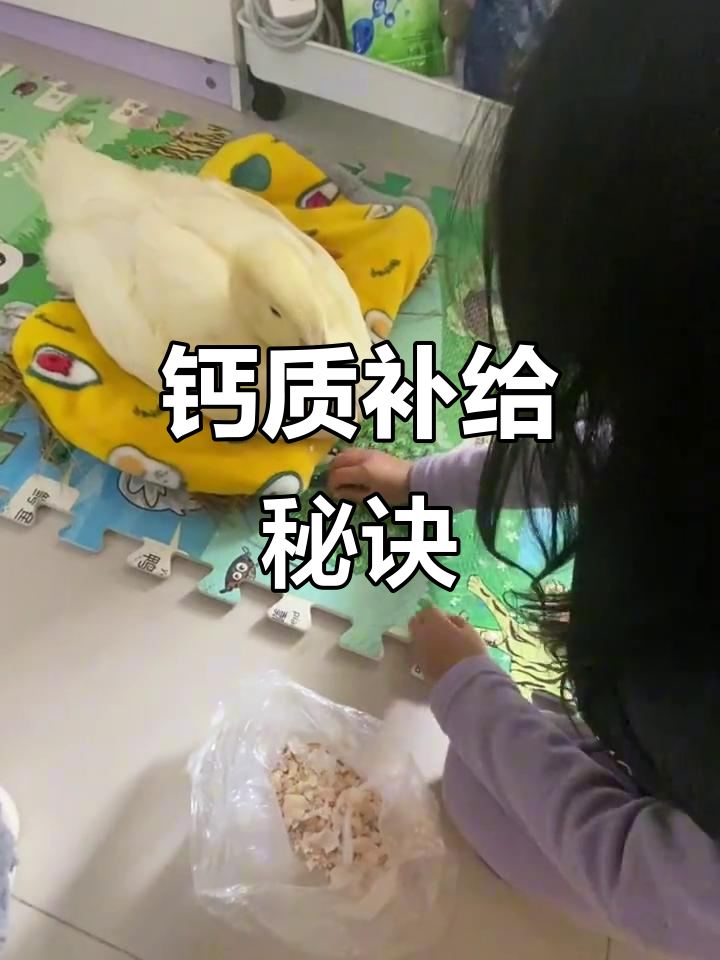 鸭子成长迅速，补钙不可缺，蛋壳干货每天补充