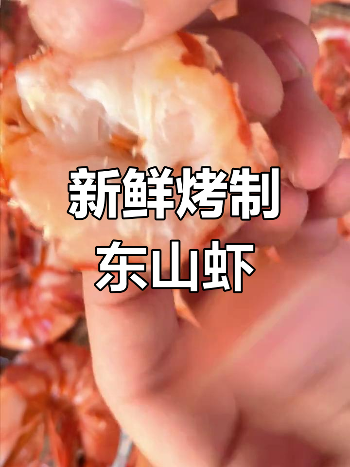 东山岛本港斑节虾,皮脆肉厚,鲜美无比